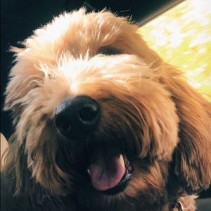 Meet your Posher, Ella